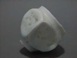 CIMG7913