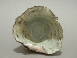 DSCN0882