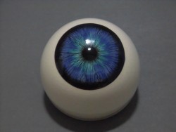 CIMG0098