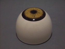 目玉ぐいのみ2 Ｔhird eye