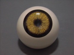 CIMG0113