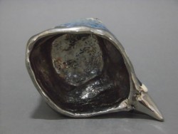 cimg8455