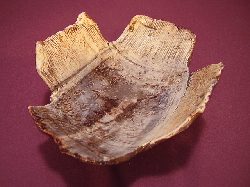 an